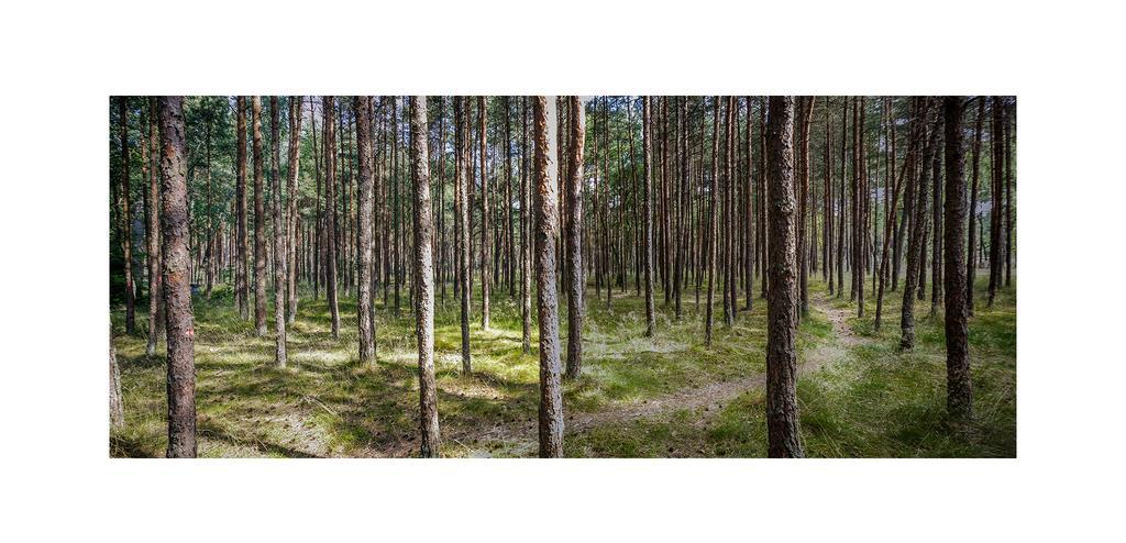 Forest Cottage Neringa Exteriör bild